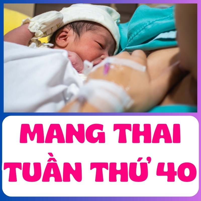 ME bé sơ sinh chào đời tuần thứ 40